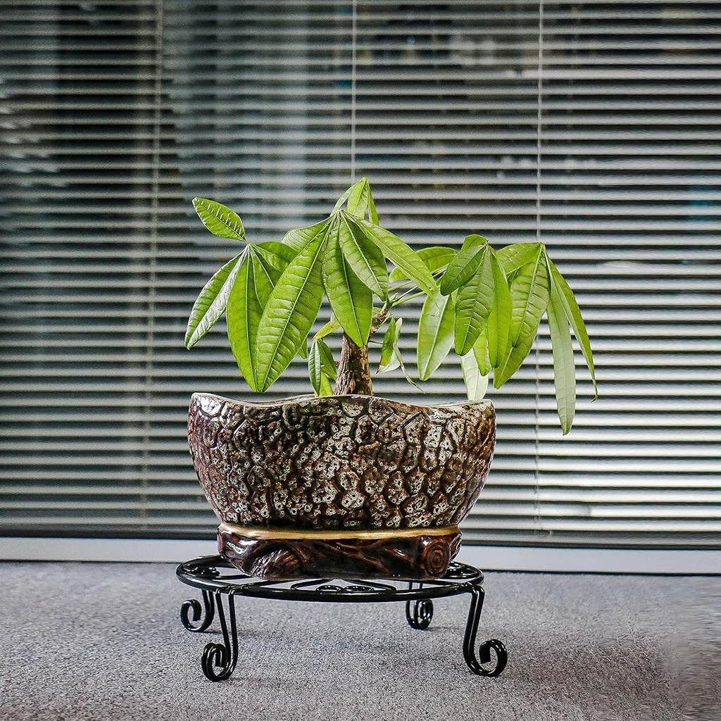 2-pack-10-12-rustproof-black-metal-plant-6.jpg