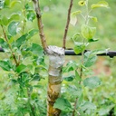 grafting-tape-3pcs-stretchable-garden-gr-5.jpg
