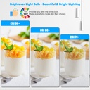 led-light-bulbs-100-watt-equivalent-a19--3.jpg