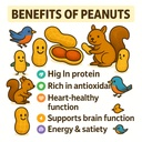 sky-ecommerce-crazy-nuts-usa-grown-whole-5.jpg