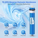 ispring-greatwell-nsf-certified-reverse--3.jpg