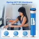 ispring-greatwell-nsf-certified-reverse--4.jpg