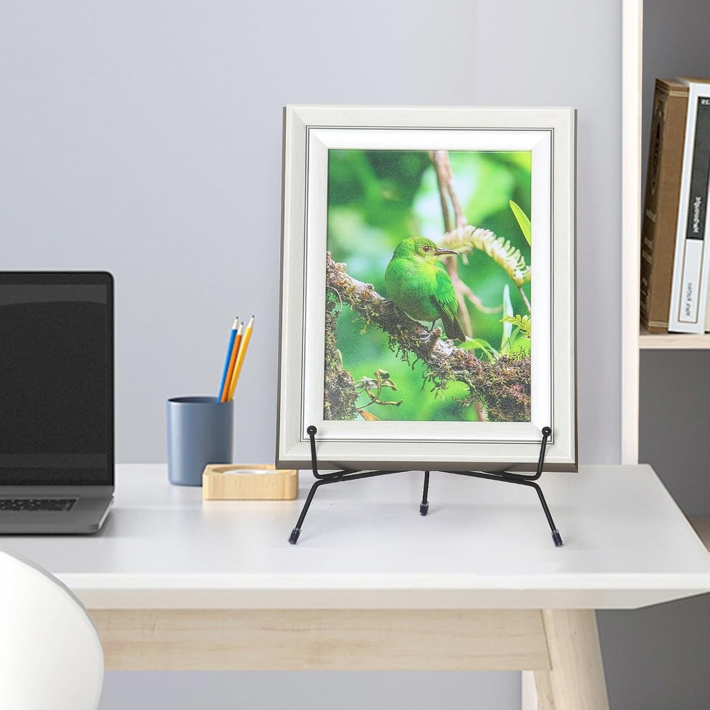 6-pack-upgraded-plate-display-stands-8-i-6.jpg