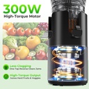 cold-press-juicer-58-wide-feed-chute-slo-6.jpg