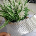 bomei-pack-mono-filament-strapping-tape--2.jpg