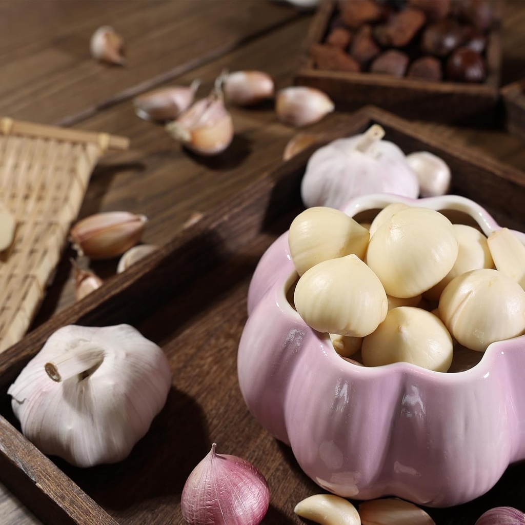 toivo-garlic-keeper-for-counterwith-lid--2.jpg