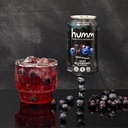 humm-probiotic-kombucha-zero-sugar-varie-6.jpg