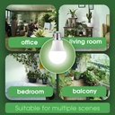 briignite-full-spectrum-led-grow-light-b-6.jpg