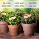 seed-needs-herb-seeds-variety-pack-culin-5.jpg
