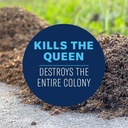 bioadvanced-fire-ant-killer-dust-1-lb-13-5.jpg