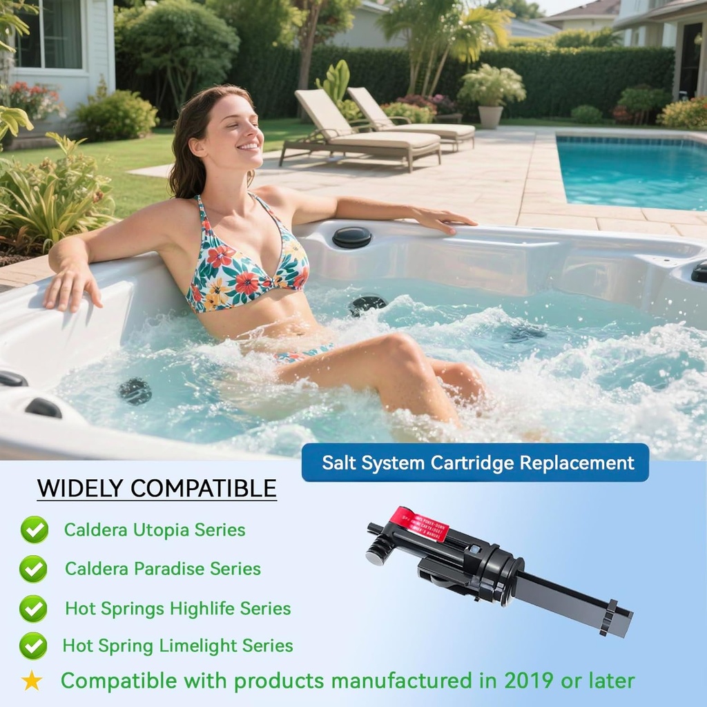 salt-system-cartridge-compatible-with-ho-2.jpg