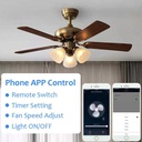 smart-wifi-fan-switch-ceiling-fan-and-li-4.jpg