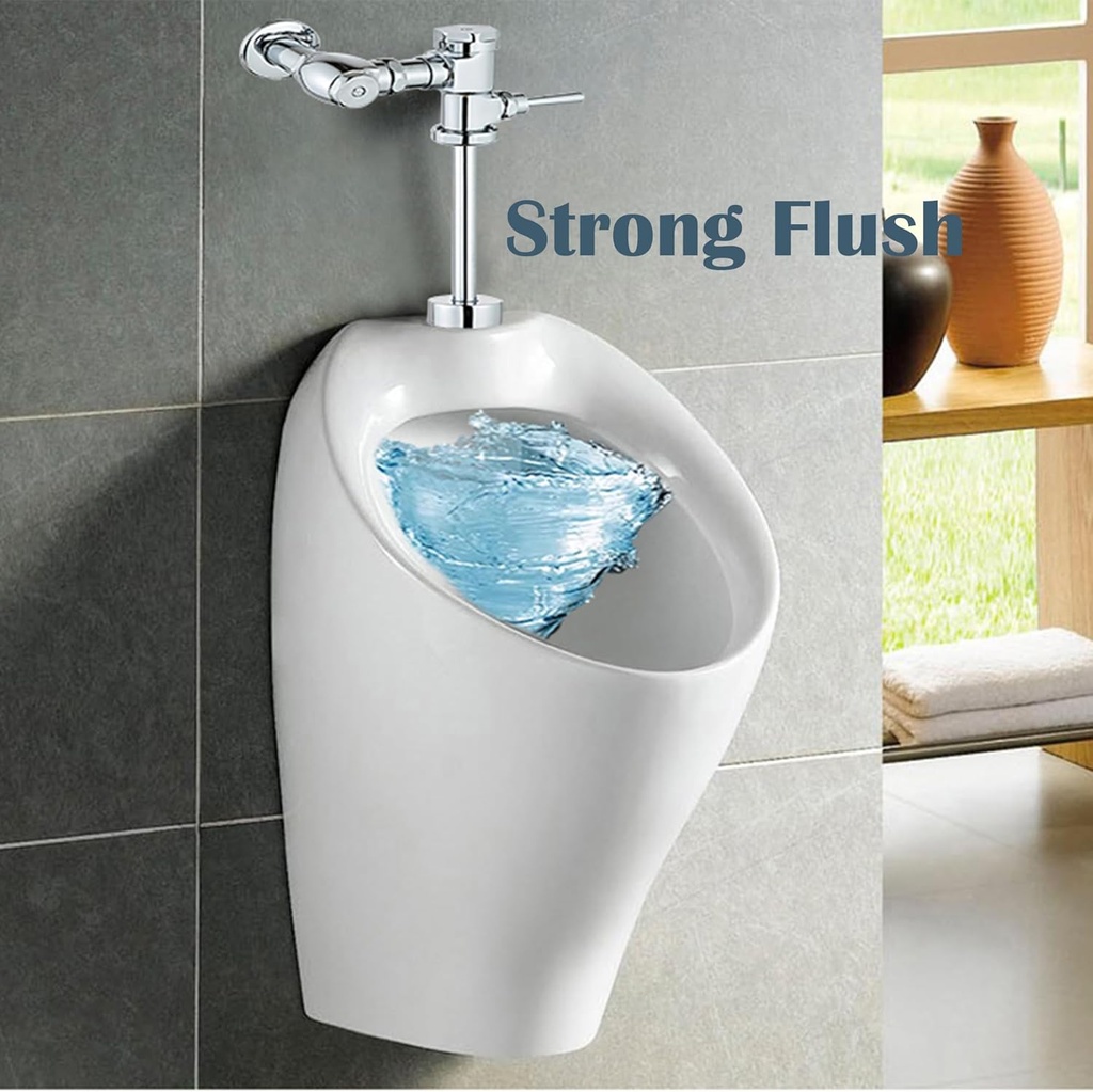 exposed-manual-urinal-flush-valve-toilet-2.jpg