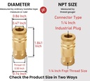 industrial-brass-air-coupler-plug-kit-14-4.jpg