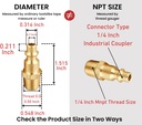 industrial-brass-air-coupler-plug-kit-14-5.jpg