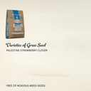 om-scott-and-sons-clover-seed-lawn-seed--2.jpg
