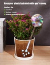 tomorotec-iridescent-glass-self-watering-5.jpg