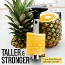 zulay-kitchen-stainless-steel-pineapple--3.jpg