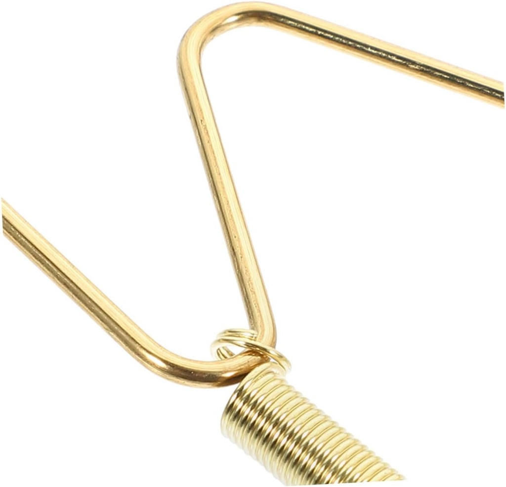 cabilock-2pcs-spring-hanging-plate-hook--3.jpg
