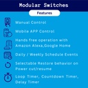 smarteefi-touch-16a-wifi-smart-switch-ex-61YXp6tELmL.jpg