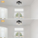 wilon-black-flush-mount-ceiling-light-fa-4.jpg