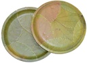 vrindavan-shopi-leaf-biodegradable-dispo-71kWYN9EMeL.jpg