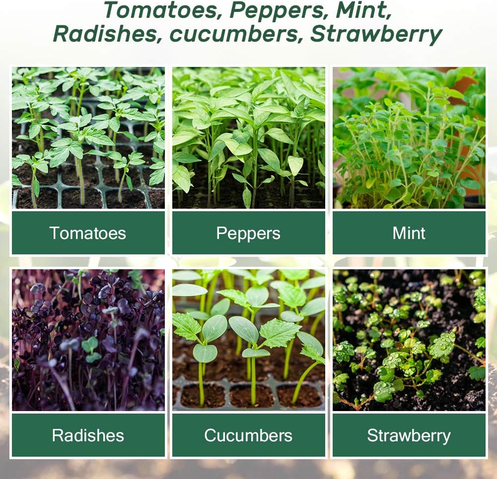 bonviee-5-pack-seed-starter-trays-seed-s-6.jpg