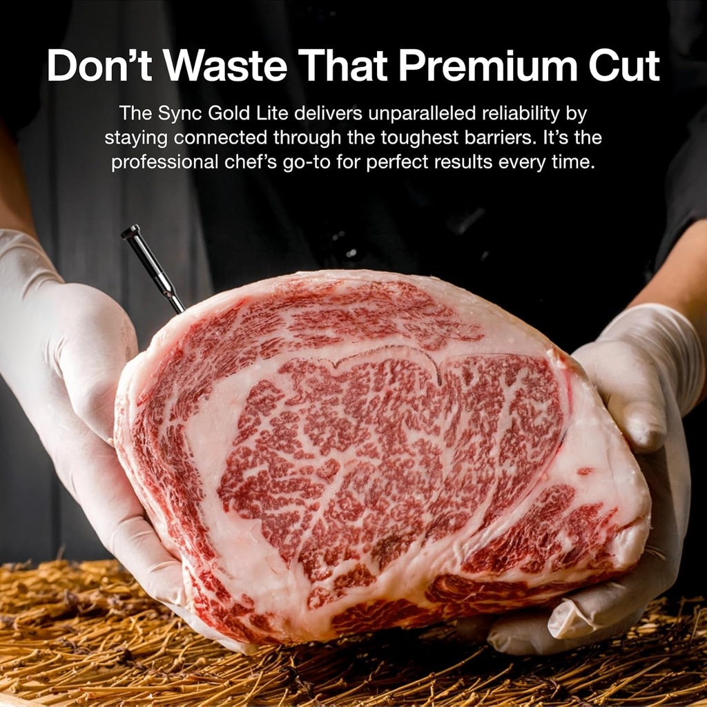 sync-gold-wireless-wifi-meat-thermometer-3.jpg