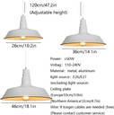 industrial-pendant-light-in-trendy-colou-5.jpg