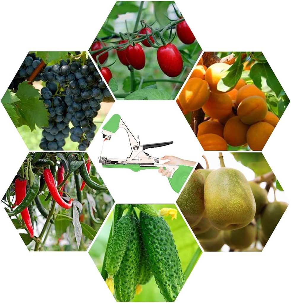 plant-tying-machine-tomato-tape-tool-wit-6.jpg