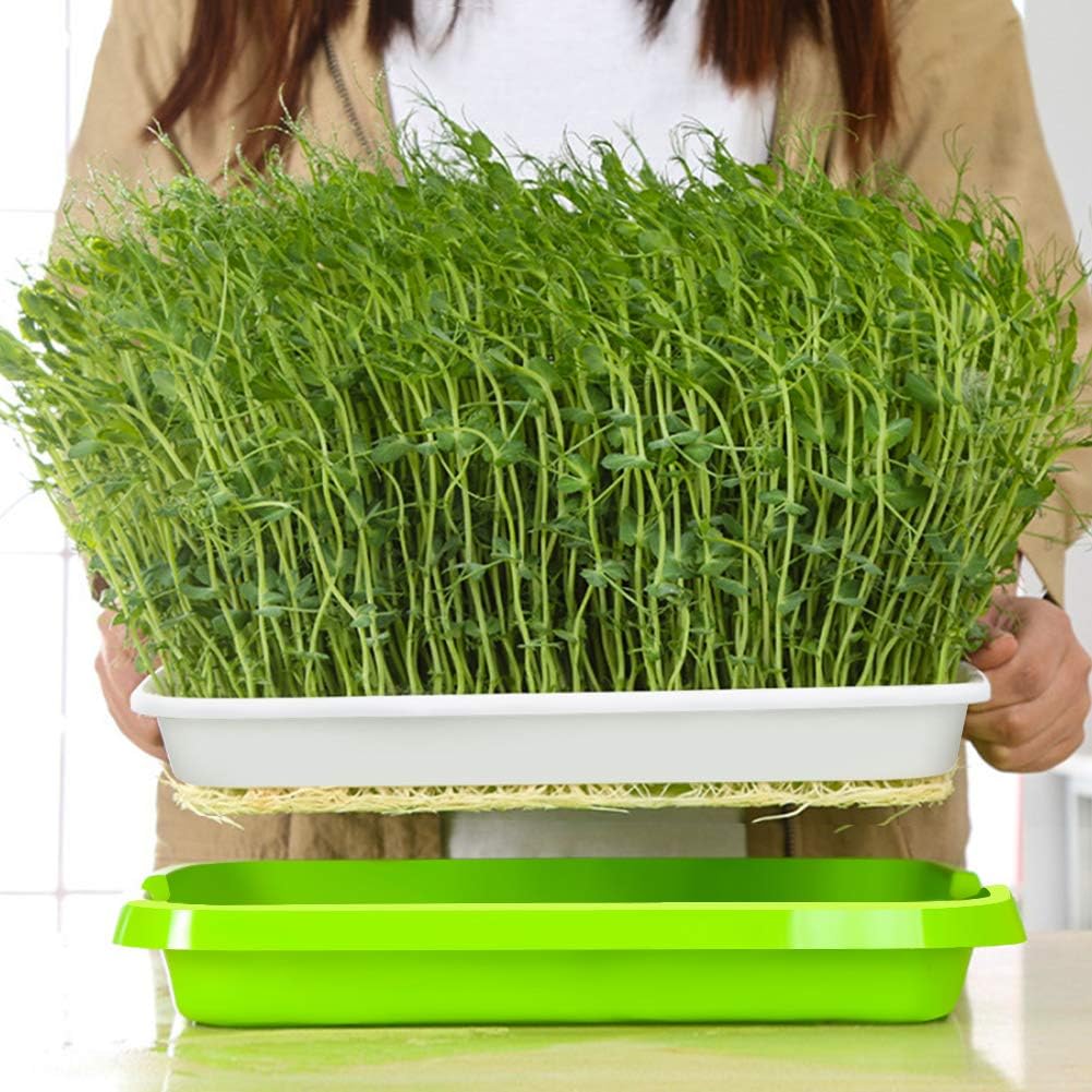 sunpro-2-pack-seed-sprouter-tray-bpa-fre-5.jpg