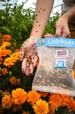 natures-good-guys-1500-live-ladybugs---g-3.jpg