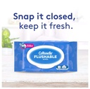 cottonelle-fresh-care-flushable-cleansin-5.jpg
