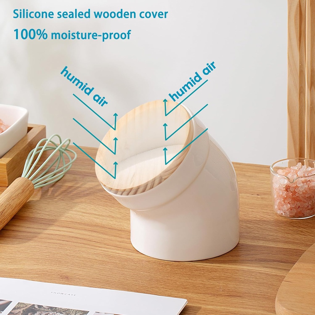 salt-cellar-with-airtight-lid-ceramic-sa-2.jpg