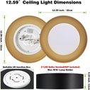 modern-black-and-gold-flush-mount-ceilin-6.jpg