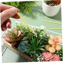 besportble-500pcs-manual-pollinator-tool-5.jpg