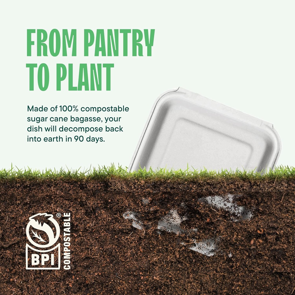 100-compostable-clamshell-take-out-food--4.jpg