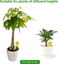 54-pack-fruit-fly-trap-for-indoor-gnat-t-5.jpg