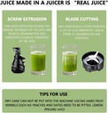 juicer-machinesslow-masticating-for-batc-3.jpg
