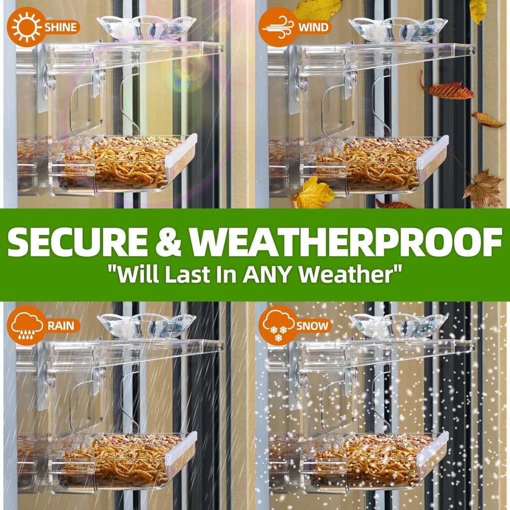 window-bird-feeder-with-non-marking-self-4.jpg