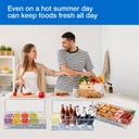 innovative-life-condiment-server-with-ic-2.jpg