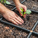 garden-grid-watering-system-garden-irrig-6.jpg