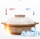 printed-ceramic-casserole-with-lid-healt-5.jpg