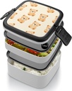 cute-teddy-bears-pattern-portable-bento--4.jpg
