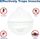 24-pcs-refill-glue-boards-43-inches-stic-4.jpg