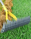 Thatch Rake,Dual-Sided Lawn Dethatcher with Stainless Steel Tines Efficient Thatching Tool for Removing Dead Grass & Moss Heavy Duty & Ergonomic Handle