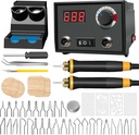 Wood Burning Tool, Wood Burner kit Pen 25~750℃, Wood Burning kit with Digital Thermometer Temperature Adjustable Temperature, 2 pyrographic Wood Burning pens, 30 Wood Burning Pen Tips