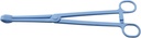 LQ Industrial Reptile Feeding Clip 24.5cm/9.64inch Blue Plastic Tong Tweezer Forcep for Tortoise Lizard Frog Spider Tarantulas