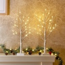 PEIDUO Christmas Decorations Indoor, 2 FT Birch Tree with LED Lights, Fairy Light Spirit Tree for Christmas Decor, Warm White Lighted Birch Trees for Home Decor Indoor, Battery Powered, Timer (2PK)