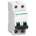 Schneider ACT 9 6A 2 Pole MCB (Multicolour) (ACT 9 'C' CURVE)
